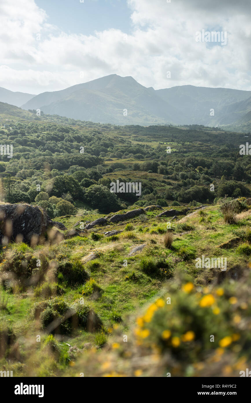 La R571 da Kenmare town a Killmakilogue Harbour, anello di strada di Beara Irlanda Foto Stock