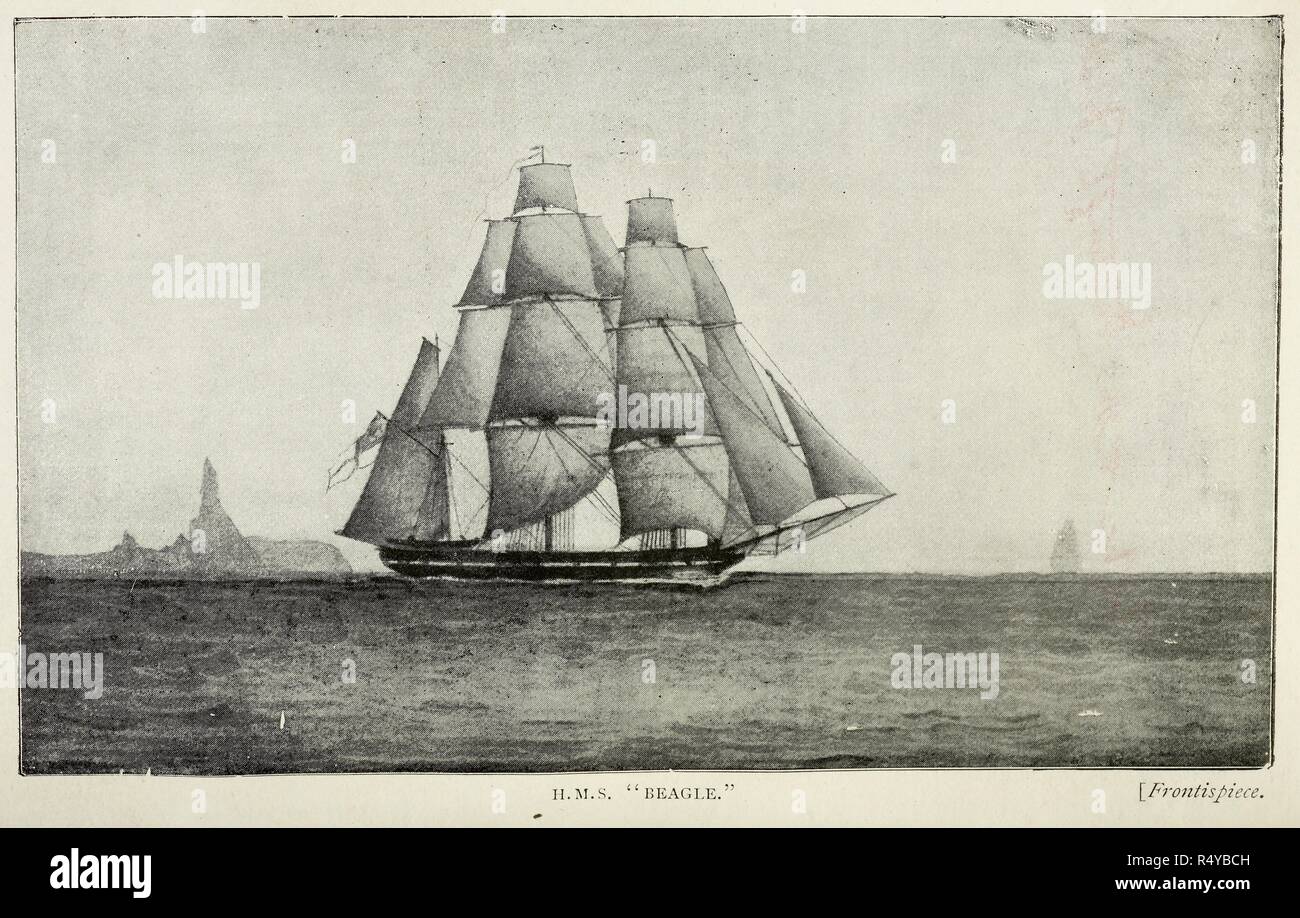 una-illustrazione-dai-diari-di-charles-darwin-sul-suo-viaggio-il-hms