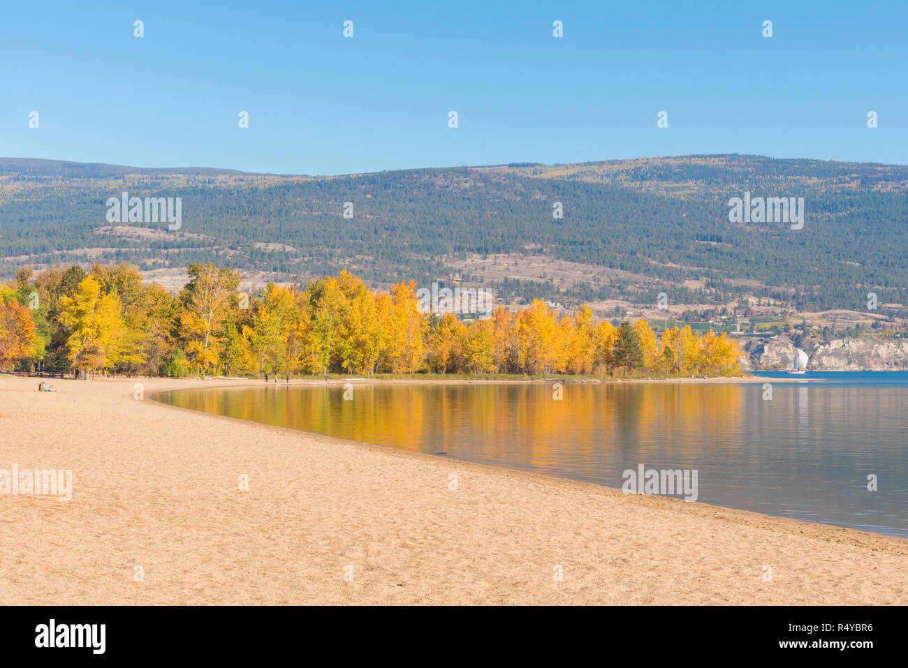 Alberi con giallo Foglie di autunno e la spiaggia di sabbia si riflette nel lago calmo Foto Stock
