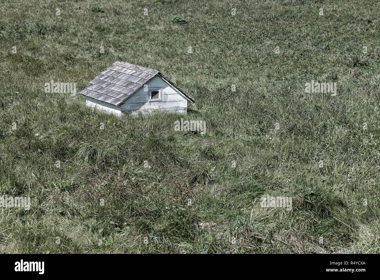 Piccolo rifugio in un campo di fattoria. Foto Stock