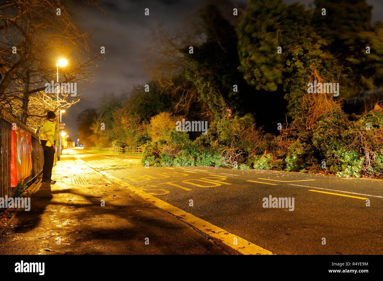 Leeds, West Yorkshire, Regno Unito. Il 28 novembre 2018. Regno Unito: Meteo venti di tempesta Diana sfonda dall'albero. Un albero caduto ha atterrato e bloccato su una strada trafficata in grande Preston, tra Leeds & Castleford. Equipaggi di manutenzione sono stati rapidi sulla scena su Leeds Road ed una corsia è stato aperto sotto la supervisione di un funzionario di polizia mentre i resti della struttura è stato rimosso. Credito: Yorkshire Pics/Alamy Live News Foto Stock