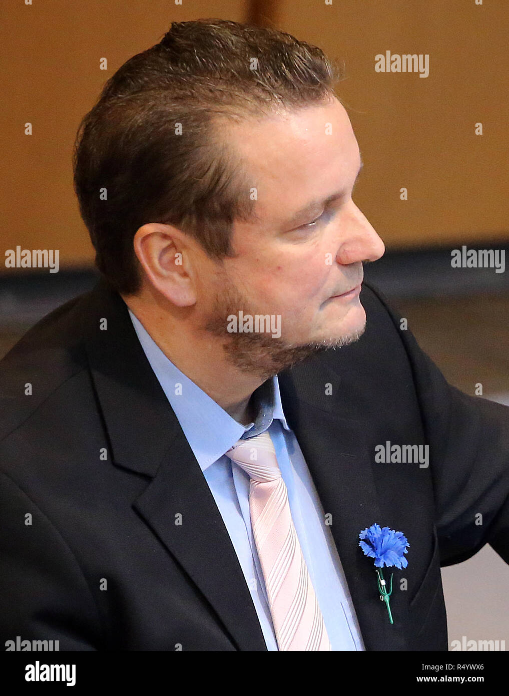 29 novembre 2018, Berlin: con un blu fiordaliso sul suo bavero, Andreas Wild (AFD), factionless, segue il Tempo delle interrogazioni nella Casa dei Rappresentanti. Il presidente del Parlamento ha chiesto al vice diverse volte per rimuovere il fiore. Dal 1933 al 1938, il fiordaliso è stato un segno distintivo in Austria del socialismo nazionale che erano vietati al momento. Foto: Wolfgang Kumm/dpa Foto Stock