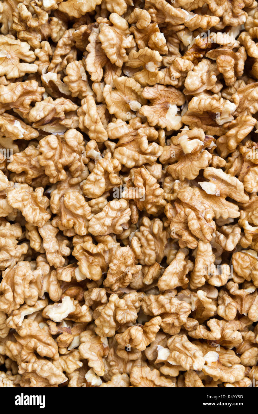 Una noce è il dado di qualsiasi albero del genere Juglans (Famiglia Juglandaceae), particolarmente il persiano o inglese, noce Juglans regia. Foto Stock