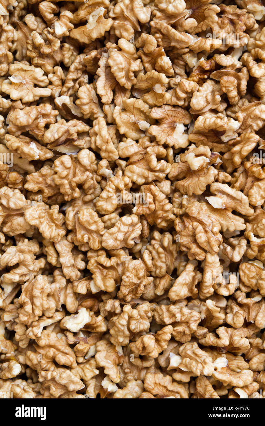 Una noce è il dado di qualsiasi albero del genere Juglans (Famiglia Juglandaceae), particolarmente il persiano o inglese, noce Juglans regia. Foto Stock