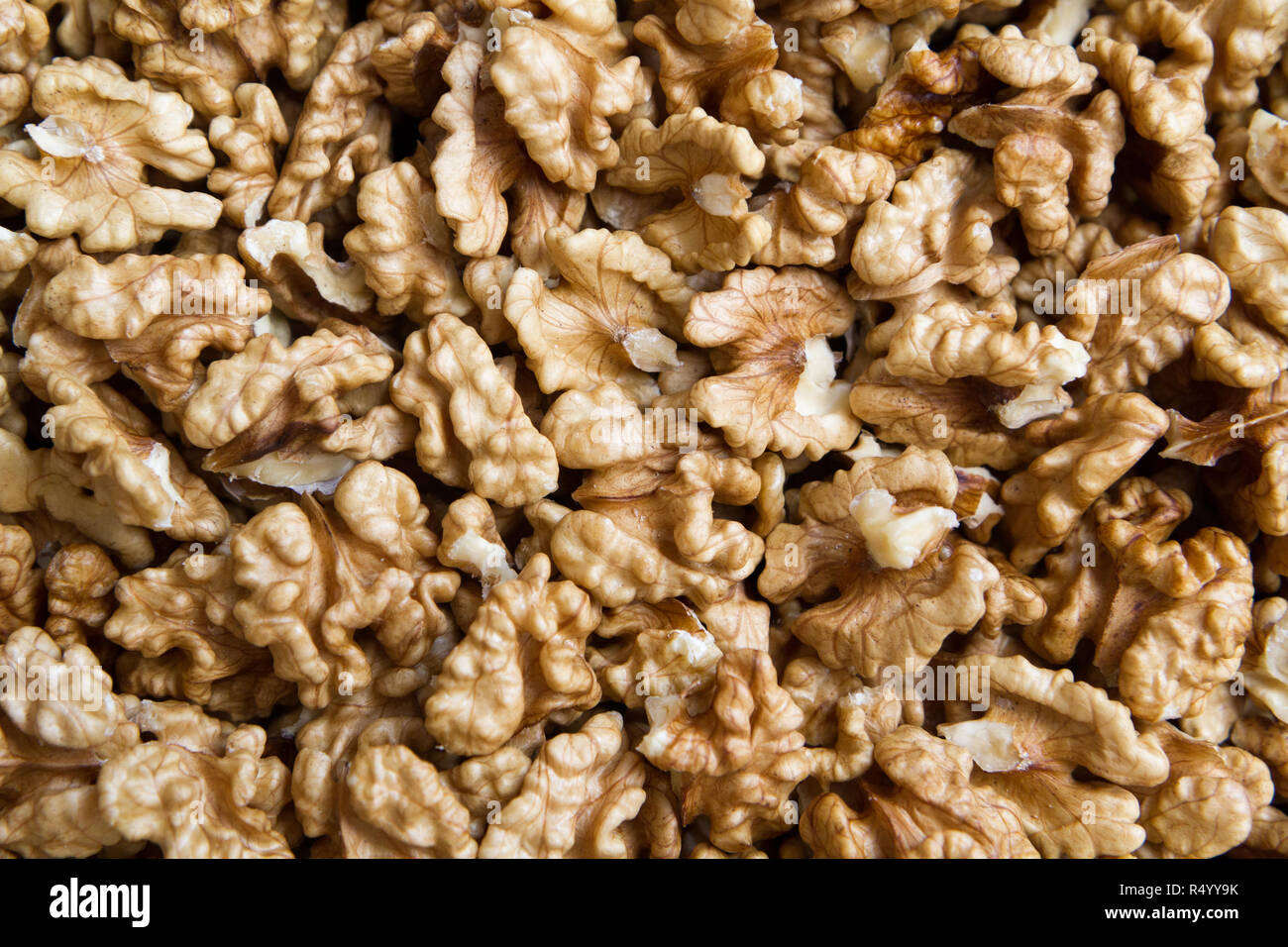 Una noce è il dado di qualsiasi albero del genere Juglans (Famiglia Juglandaceae), particolarmente il persiano o inglese, noce Juglans regia. Foto Stock