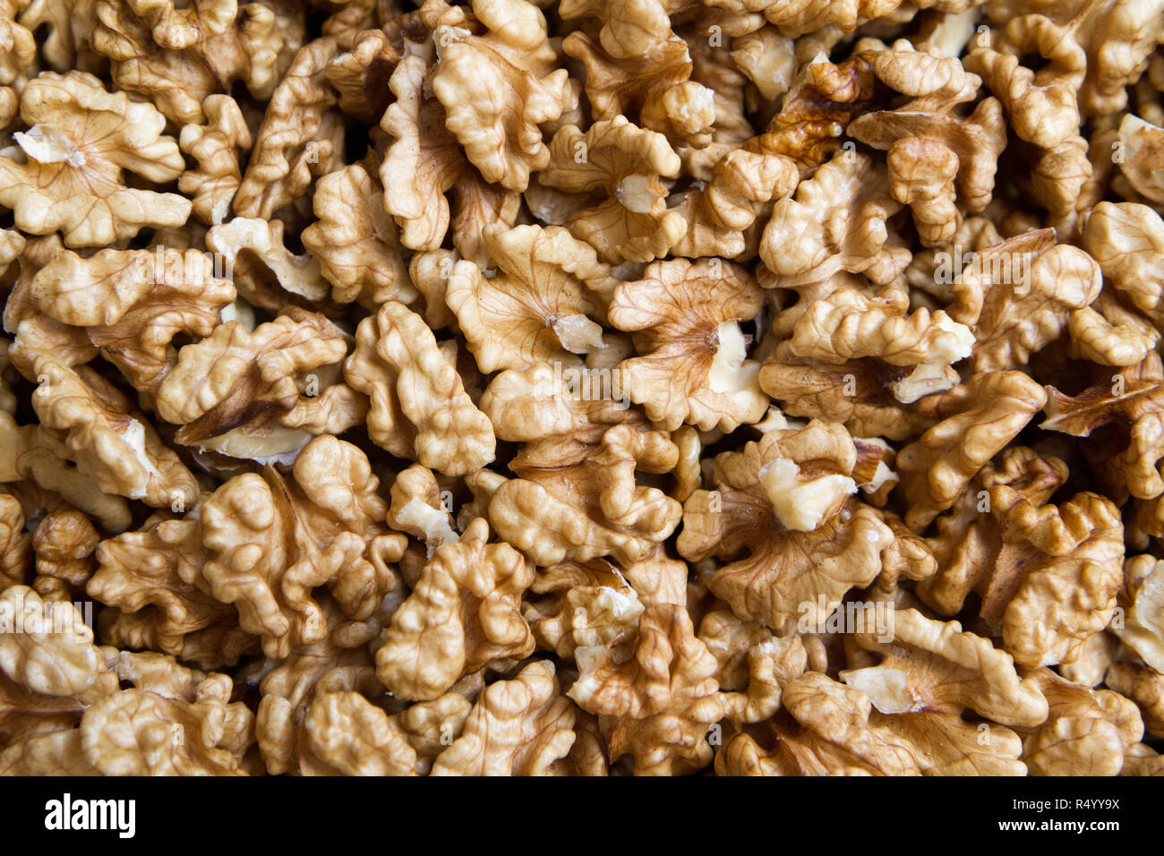 Una noce è il dado di qualsiasi albero del genere Juglans (Famiglia Juglandaceae), particolarmente il persiano o inglese, noce Juglans regia. Foto Stock