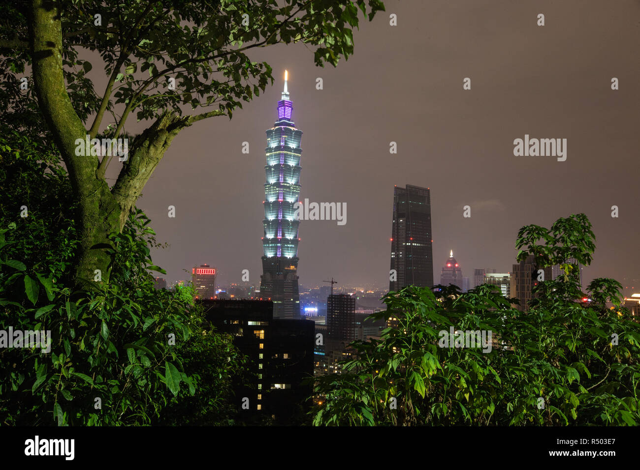 Notte,Vista,d,Taipei 101 Tower,101,Torre,grattacielo,costruzione,dalla montagna di elefante,Taipei, Taiwan, Cina,Cinese, Repubblica di Cina,roc,Asia,asiatica, Foto Stock