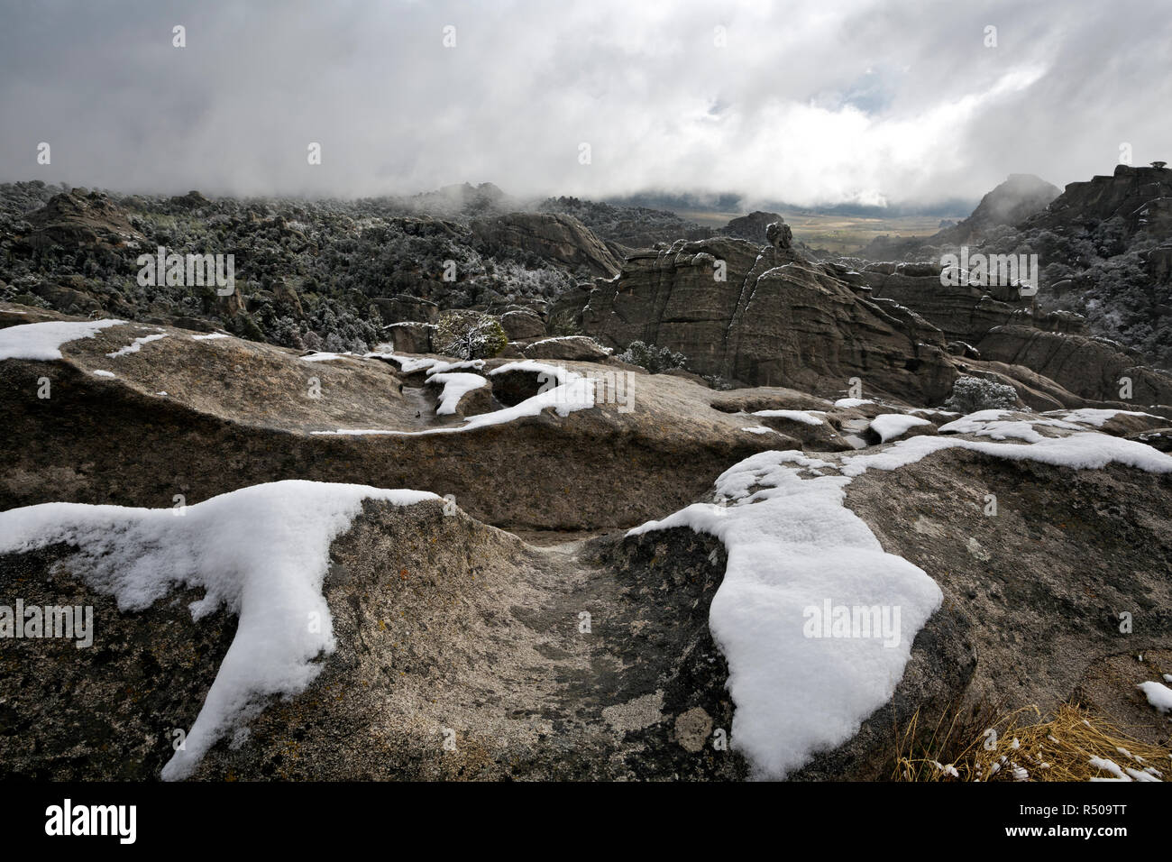 ID00734-00...IDAHO - Weathered ed eroso i canali dell'acqua nel granito su una caduta tempesta giornata presso la città di rocce riserva nazionale. Foto Stock