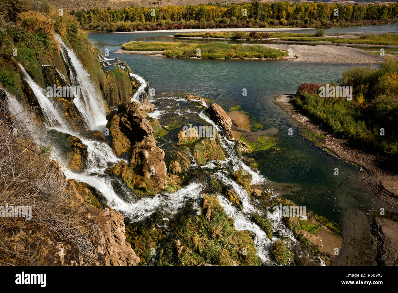 ID00737-00...- Idaho Falls Creek Falls dove Falls Creek si unisce il Fiume Snake nella Valle di Swan area. Foto Stock