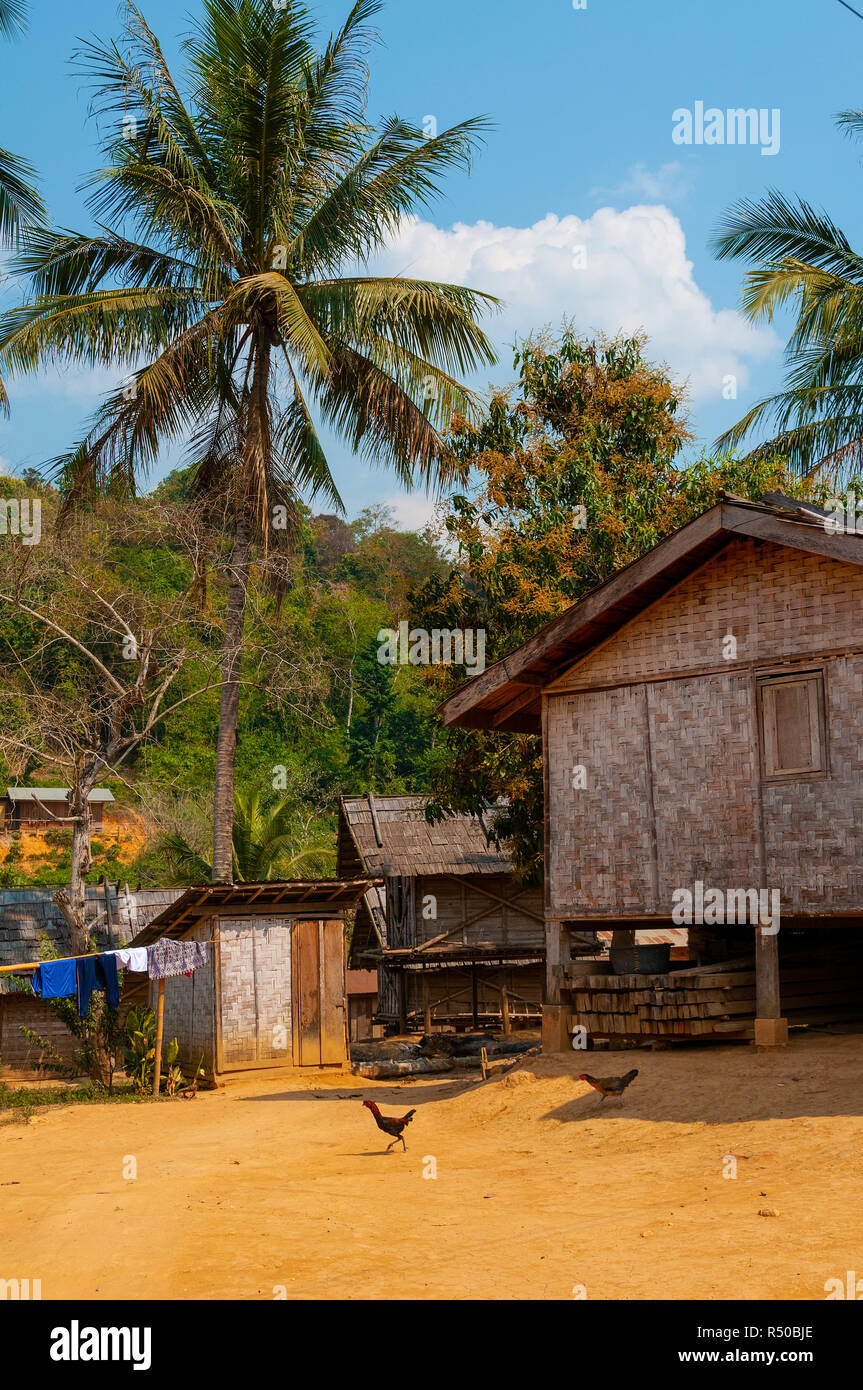 Lao tradizionale villaggio rurale case fatte di legno e tessuto di bambù spaccati pareti e costruito su palafitte di legno tra Huay Xai e Pakbeng, Laos, Lao Foto Stock