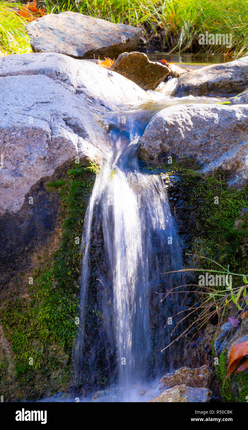 Una piccola cascata in Madera Canyon Foto Stock