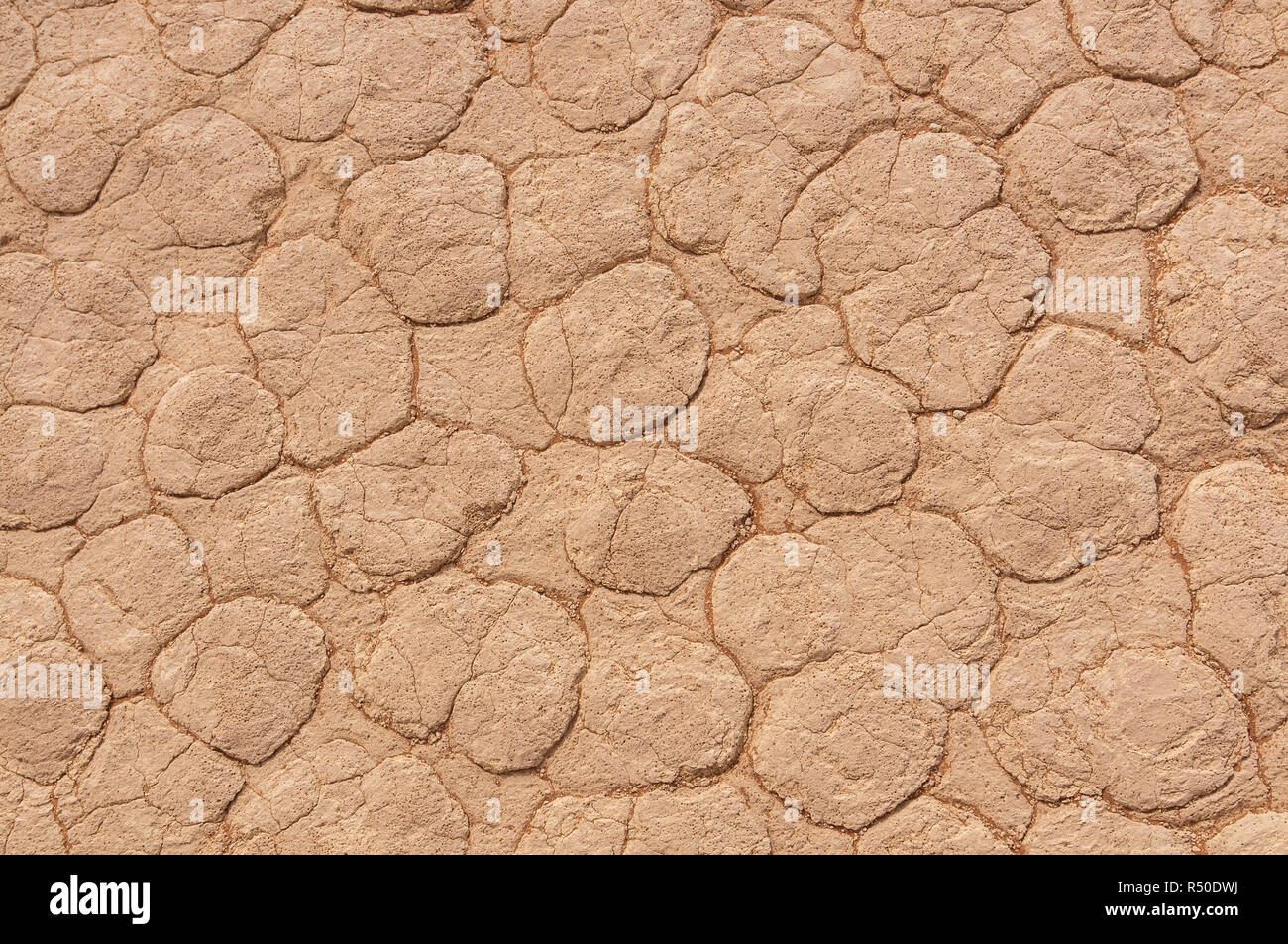Terra arida in Deadvlei, argilla pan, Sossusvlei, Namibia Foto Stock