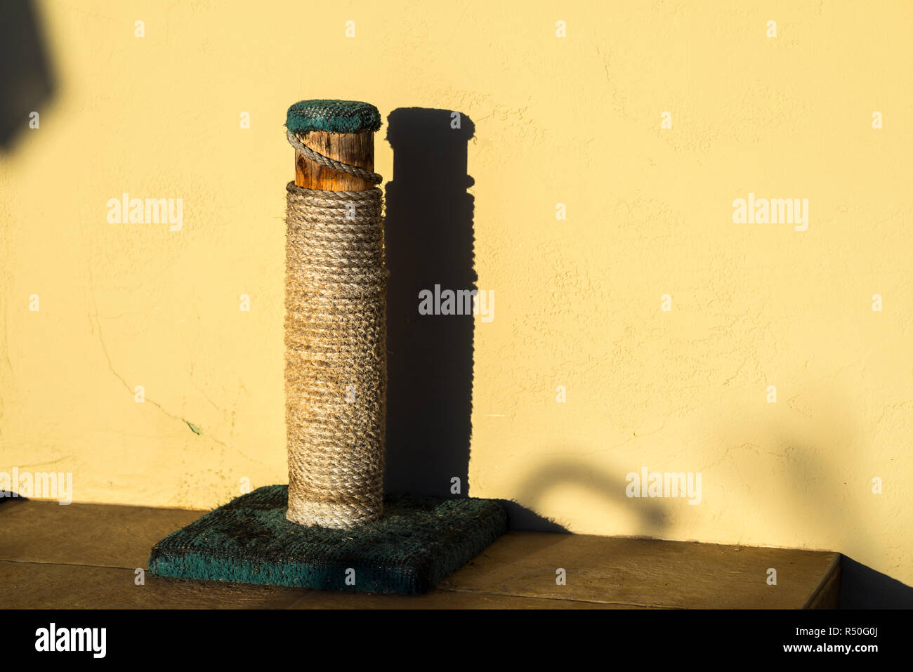 Cat scratch post contro un muro con la mattina presto luce. Foto Stock