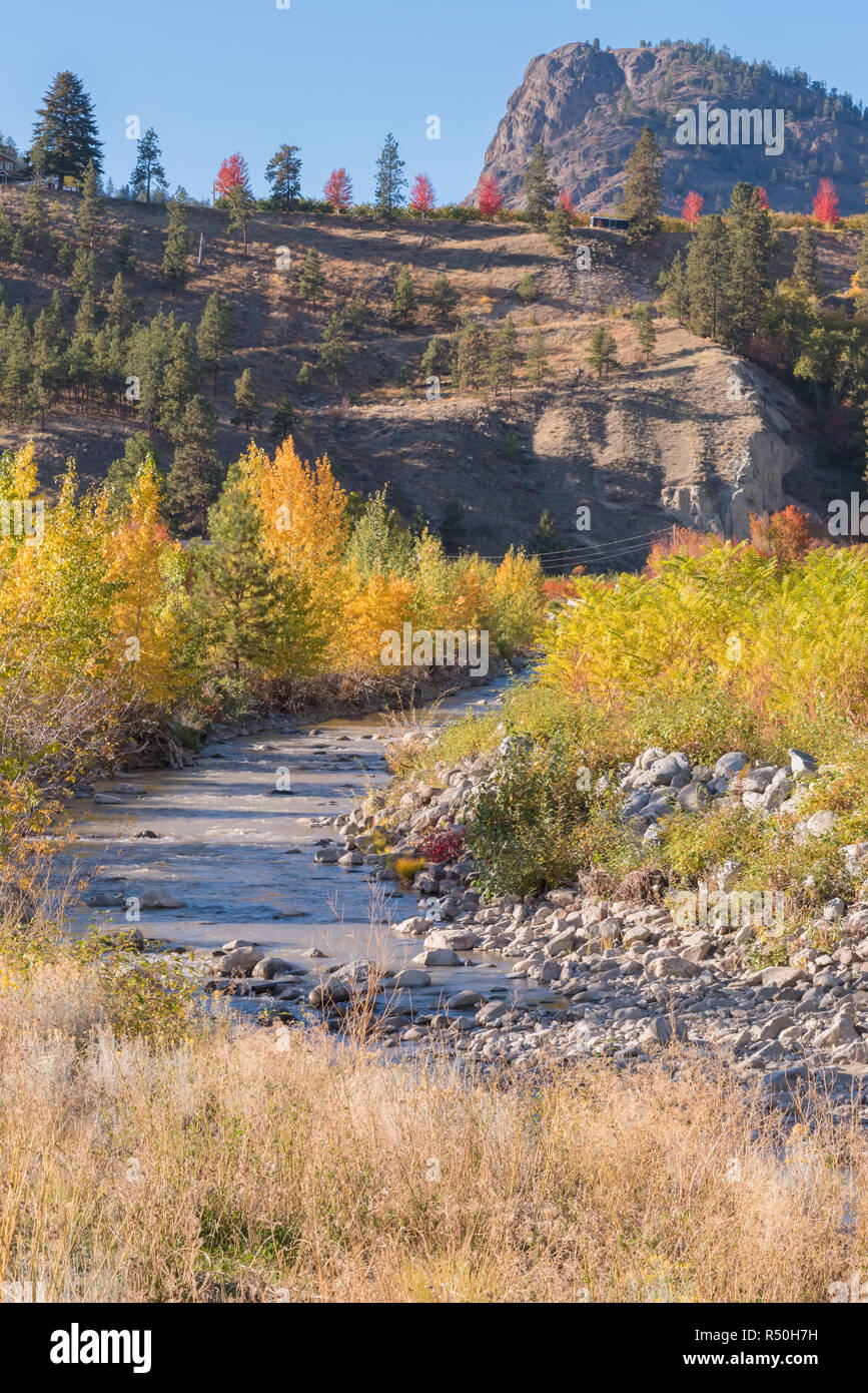 Trout Creek in autunno con il gigante della montagna di testa a distanza Foto Stock