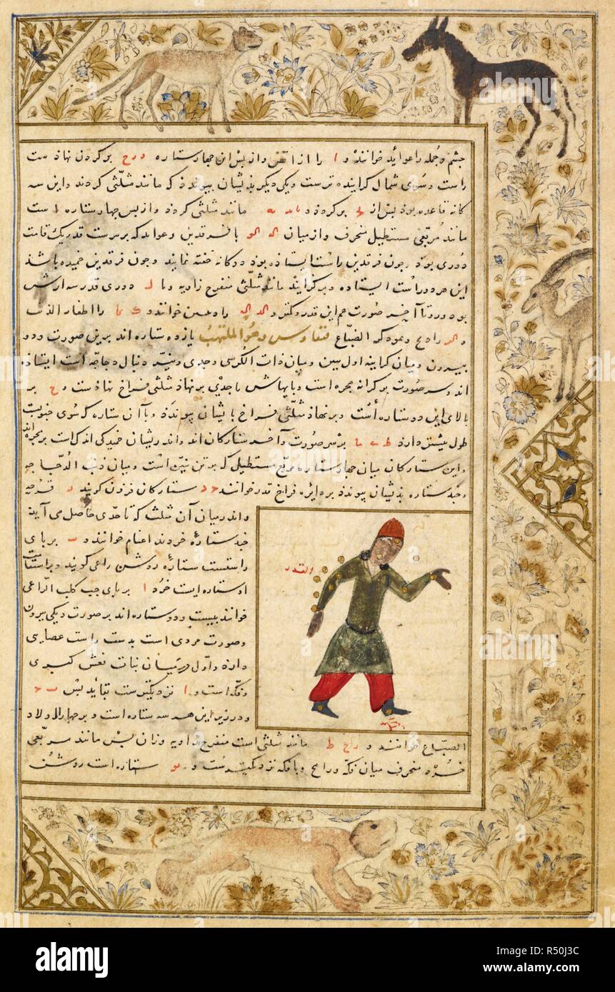 Di Cefeo. Marginale disegni di animali. Le illustrazioni di un trattato di astrologia. Miscellanea di Iskandar Sultan. Iran meridionale, 1410-1411. Fonte: Aggiungi. 27261, f.536v. V.o. persiano. Foto Stock