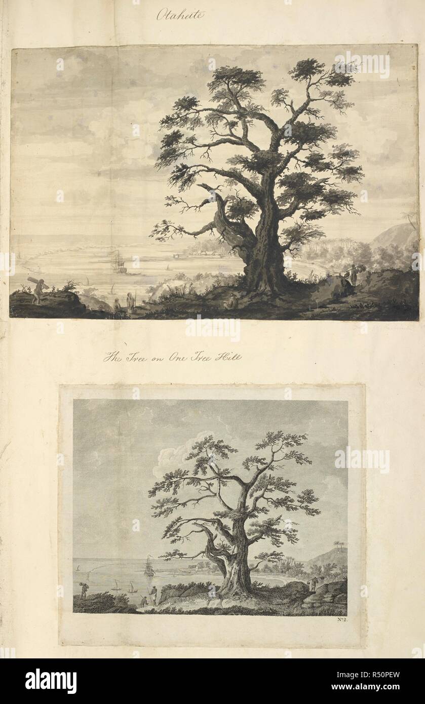 Otahiete. La struttura ad albero su una collina dell'albero. Descritto anche in altre versioni come : Vista di Matavia [ossia Matavai] Bay in Otaheite, preso da One Tree Hill, il quale albero è una specie di Erythrina. I disegni mostrano grande albero centrale su di una collina e con lo sforzo ancorata in una baia a sinistra nelle varie figure, case in riva al centro della distanza, colline e alberi a destra. . Una collezione di disegni da A. Buchan, S. Morbo di Parkinson, e J. F. Miller, realizzati nei paesi visitati dal capitano James Cook nel suo primo viaggio [1768-1771], anche di stampe pubblicato in John Hawksworth's Viaggi di biro Foto Stock