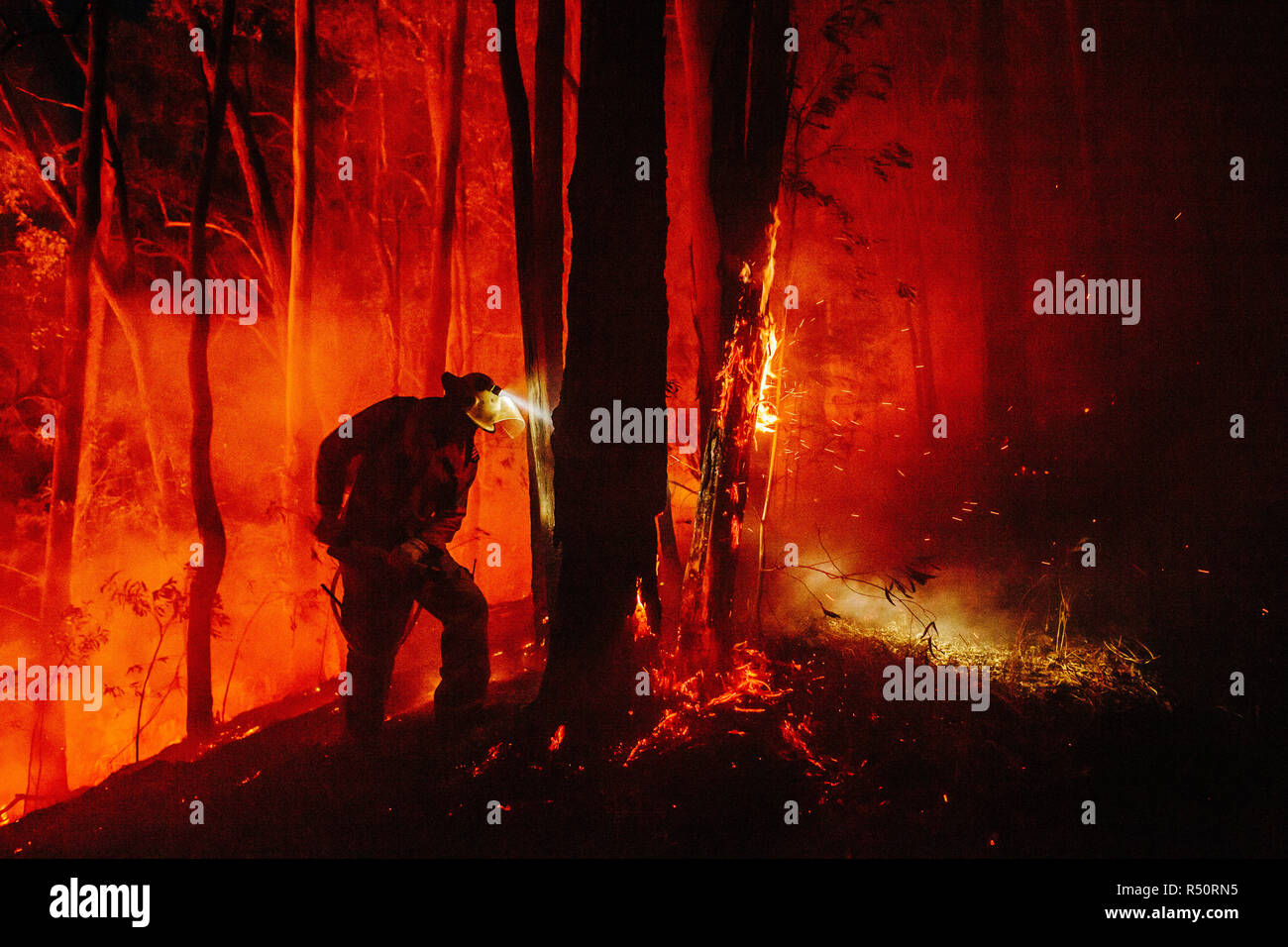 Firefighter utilizzando uno zaino per estinguere i punti caldi in prossimità della linea di contenimento, Guanaba, Queensland, Australia. Foto Stock