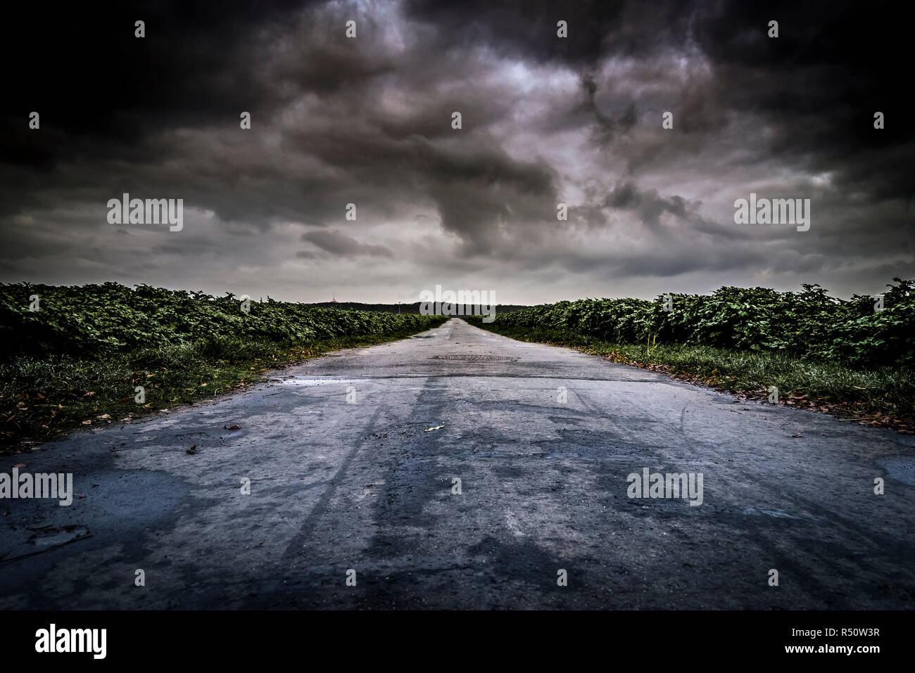 Strada sterrata con drammatica cloudscape Foto Stock