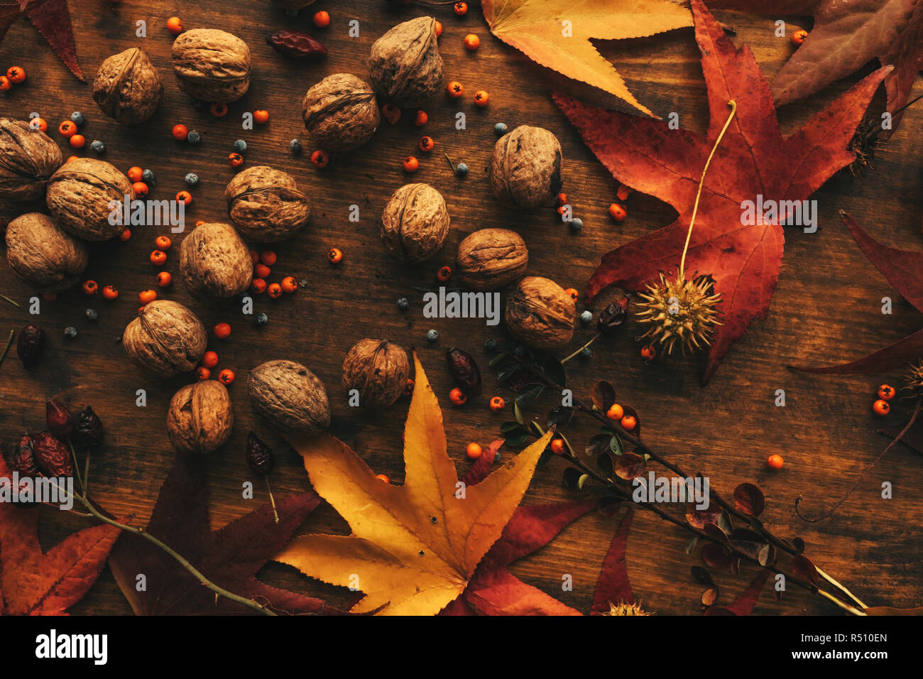Abbondanza di noci con guscio, vista dall'alto della tavola decorati con colorate foglie d'acero Foto Stock
