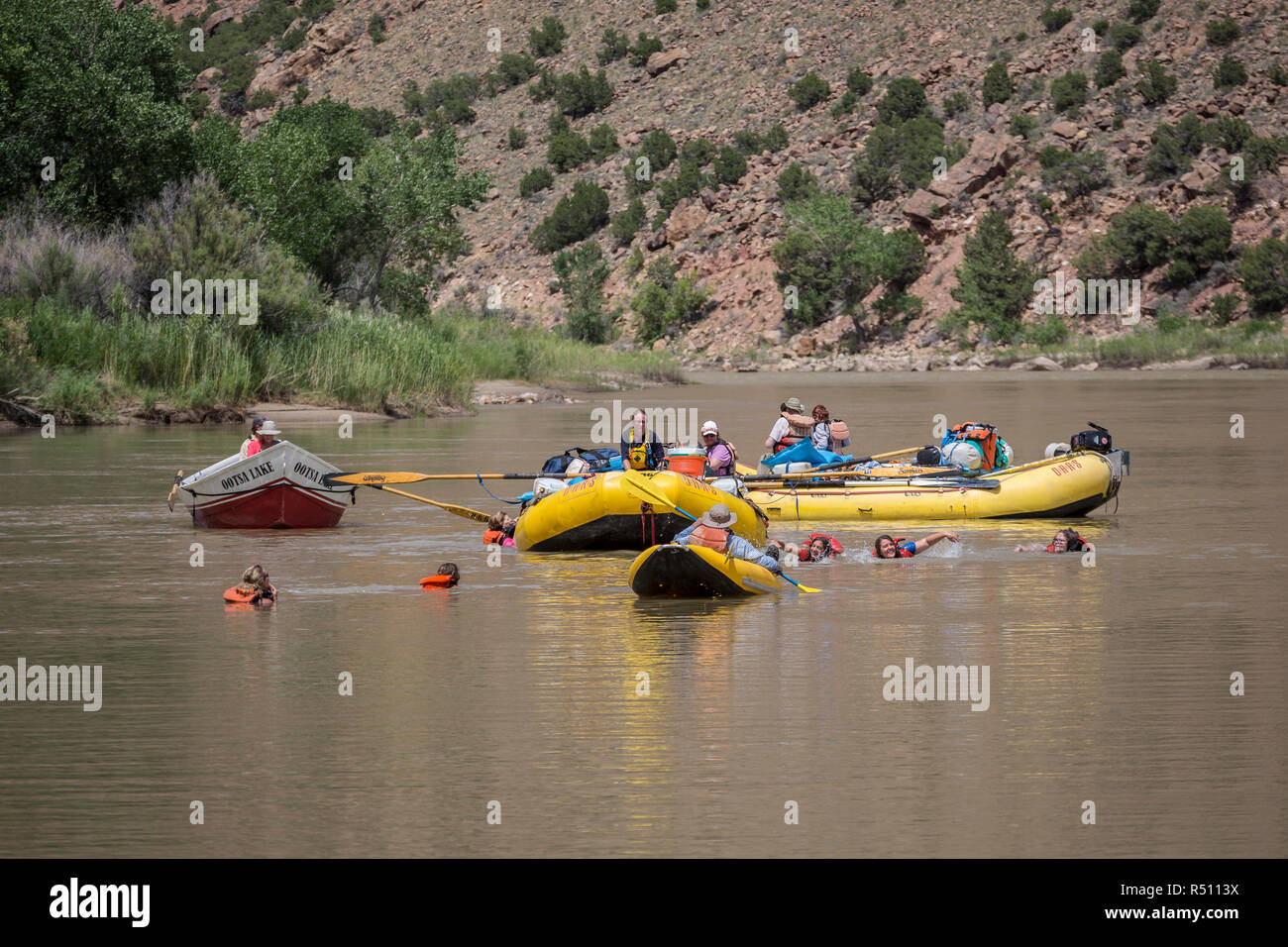 La gente di nuoto ed appendere fuori in zattere durante un Green River Rafting Trip desolazione/Grigio sezione del canyon, Utah, Stati Uniti d'America Foto Stock