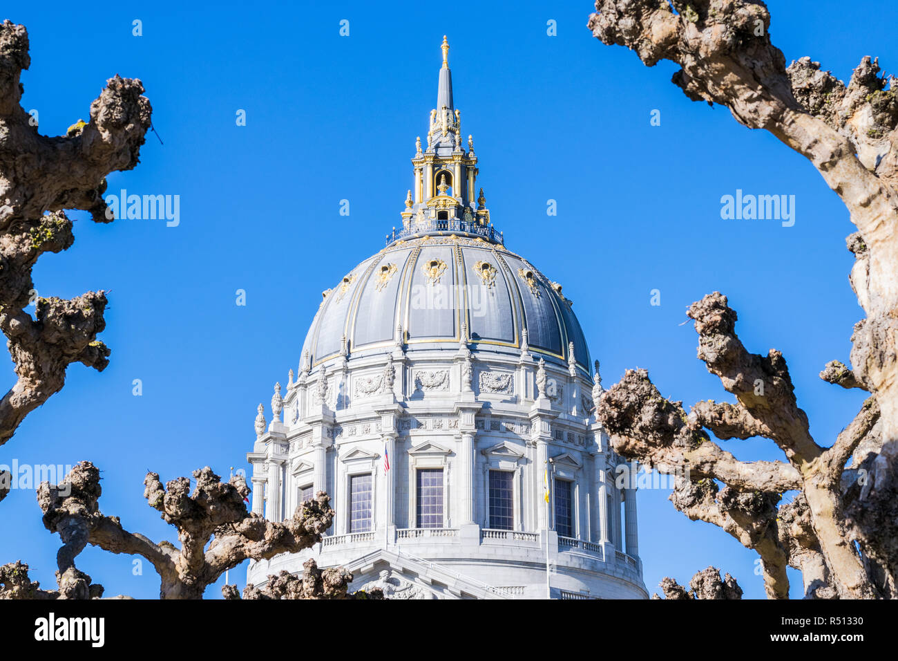 City Hall di San Francisco. San Francisco è il centro culturale, commerciale e finanziario della città del nord della California Foto Stock