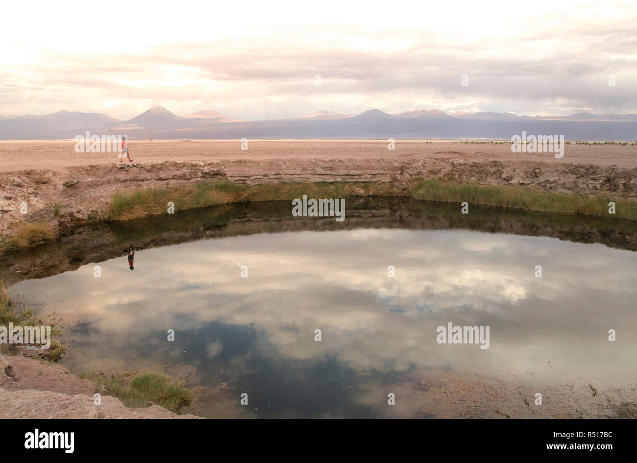 Ojos del Salar, nel nord del Cile, Lago di riflessione, di deserto di Atacama Foto Stock