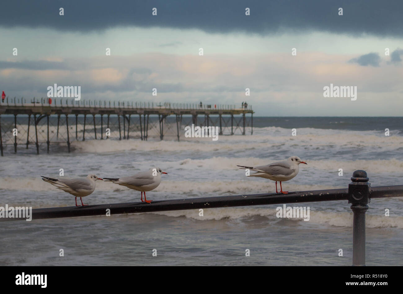 Saltburn nel nord-est dell' Inghilterra. Foto Stock