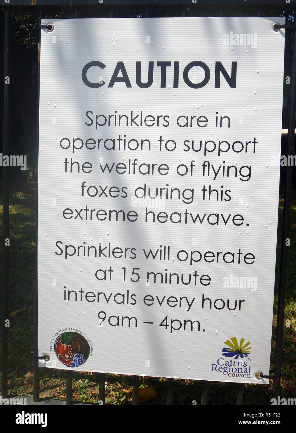 Avendo cura di fauna selvatica durante una ondata di caldo: acqua di raffreddamento degli sprinkler pipistrelli, Cairns, Queensland, Australia. N. PR Foto Stock