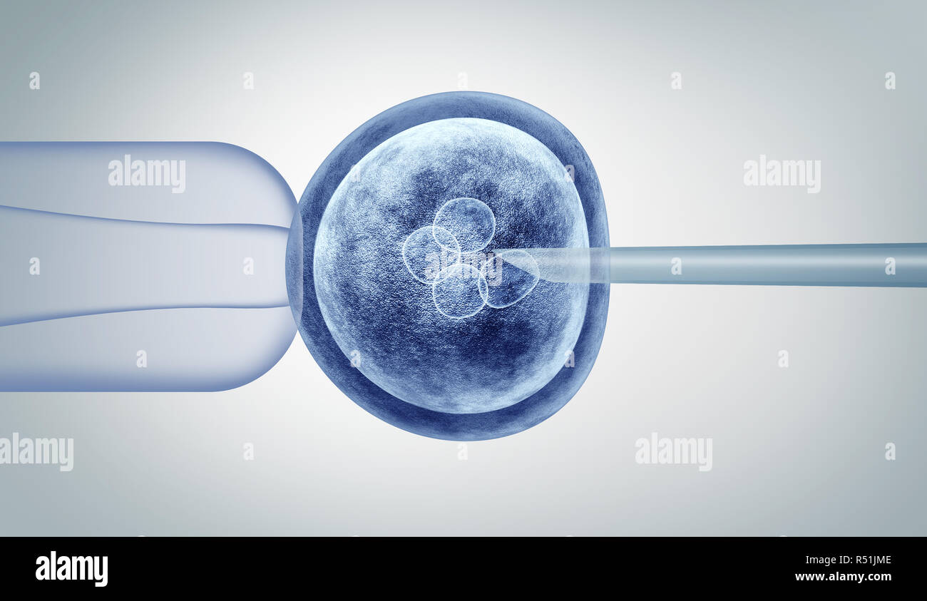 La modifica genetica e ricerca genetica in vitro genoma CRISPR engineering biotecnologia medica health care concetto con un uovo umano fecondato embrione. Foto Stock