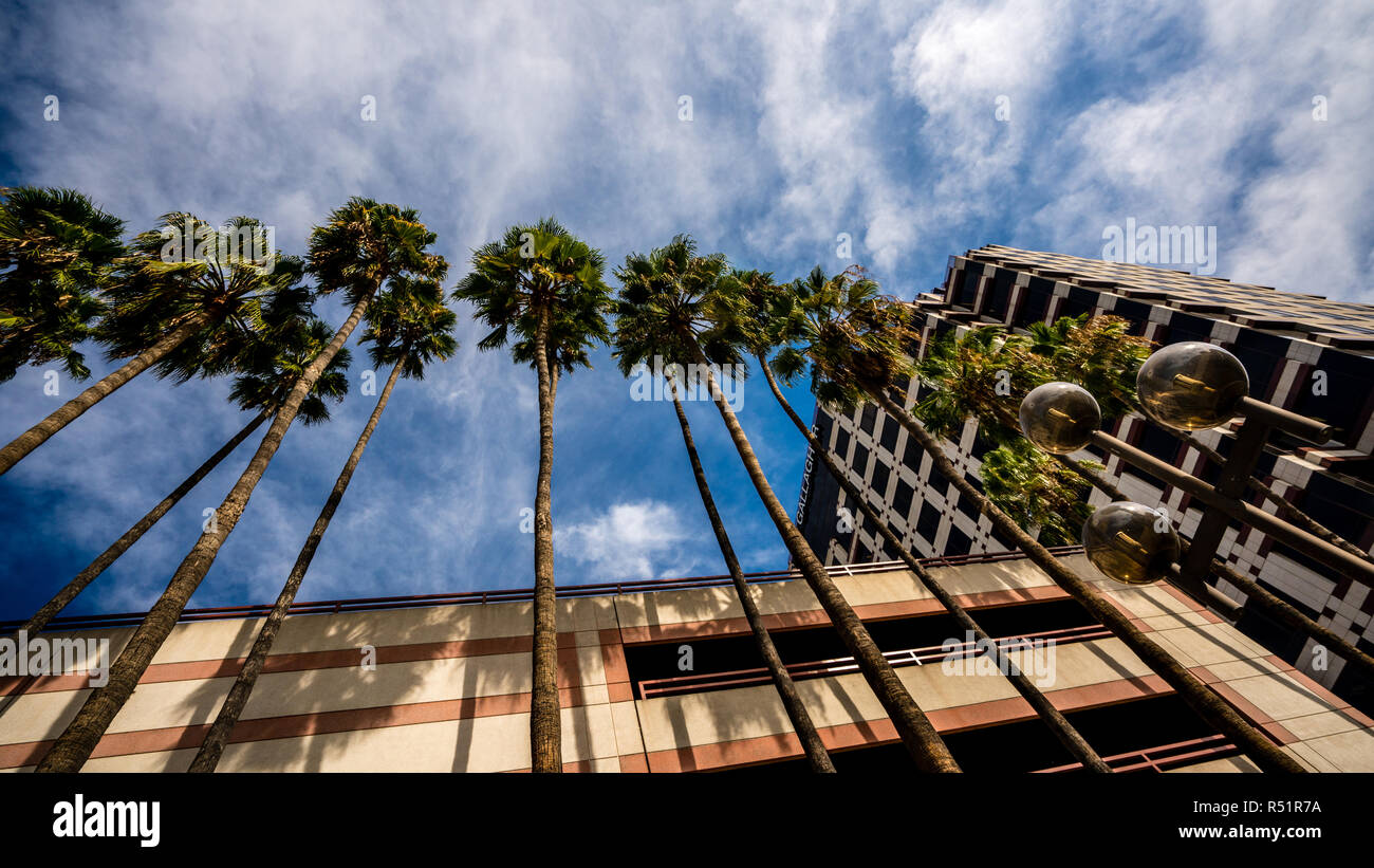 Alberi di Palma contro un cielo blu e la struttura di parcheggio nella California Meridionale. Foto Stock