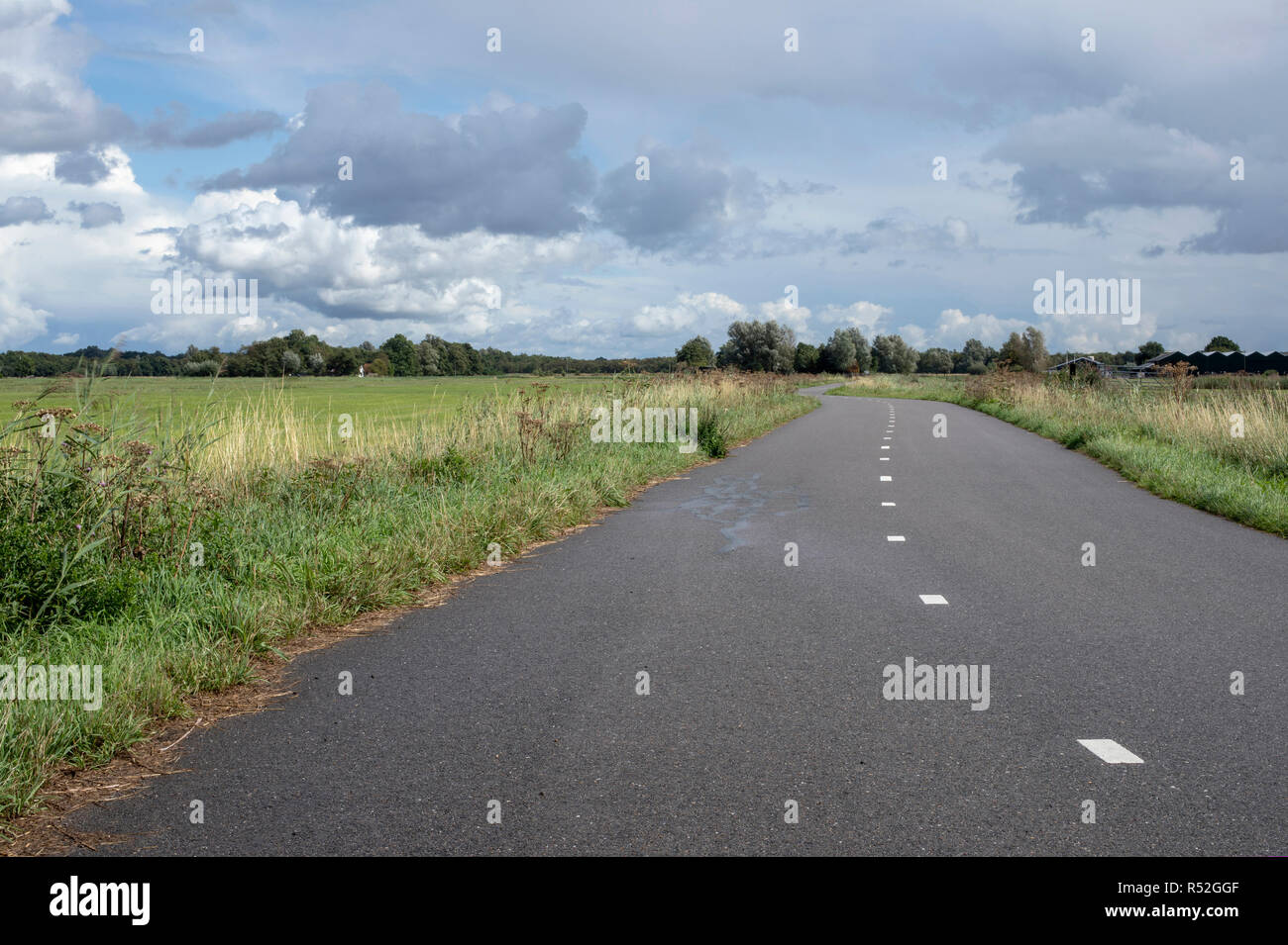 Bicicletta road, pista ciclabile, con linee stradali, circondato da campi di erba di pascolo, sotto un cielo nuvoloso e alberi all'orizzonte. Foto Stock