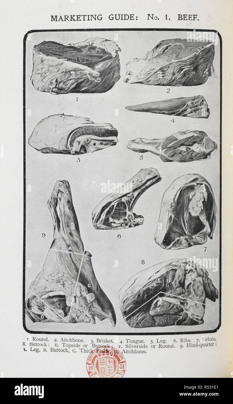 Vari tagli di manzo. La sig.ra Beeton della cucina di famiglia e il servizio di pulizie libro ... Nuovo ... illustrazioni, ecc. [Un altro problema, in una forma modificata, della â€oeBeeton ogni giorno in cucina e il servizio di pulizie Prenota.â€]. Londra : Ward, Lock & Co., 1907. Fonte: 07944.g.63 rivolta p. 97. Autore: BEETON, ISABELLA MARIA. ANON. Foto Stock