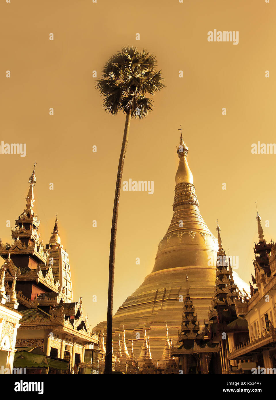 Scenario paesaggistico di Shwedagon pagoda in Yangon, Myanmar al tramonto Foto Stock