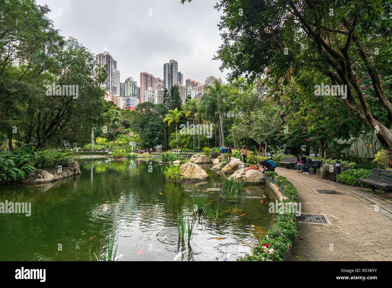 Hong Kong Park è un'oasi di verde e tranquillità circondata da grattacieli del centro e Admiralty quartieri degli affari. Hong Kong, Gennaio 2018 Foto Stock