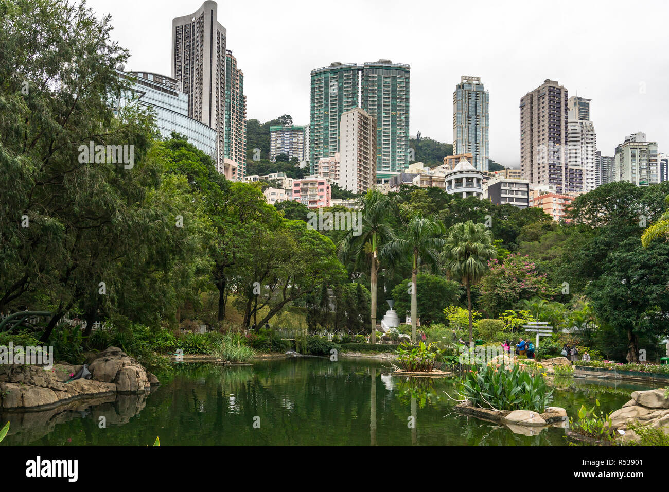 Hong Kong Park è un'oasi di verde e tranquillità circondata da grattacieli del centro e Admiralty quartieri degli affari. Hong Kong, Gennaio 2018 Foto Stock