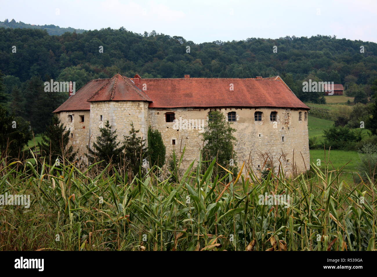 Città vecchia castello Ribnik utilizzato come difesa contro i nemici dal tredicesimo secolo circondata da una fitta foresta in background e cornfield davanti Foto Stock