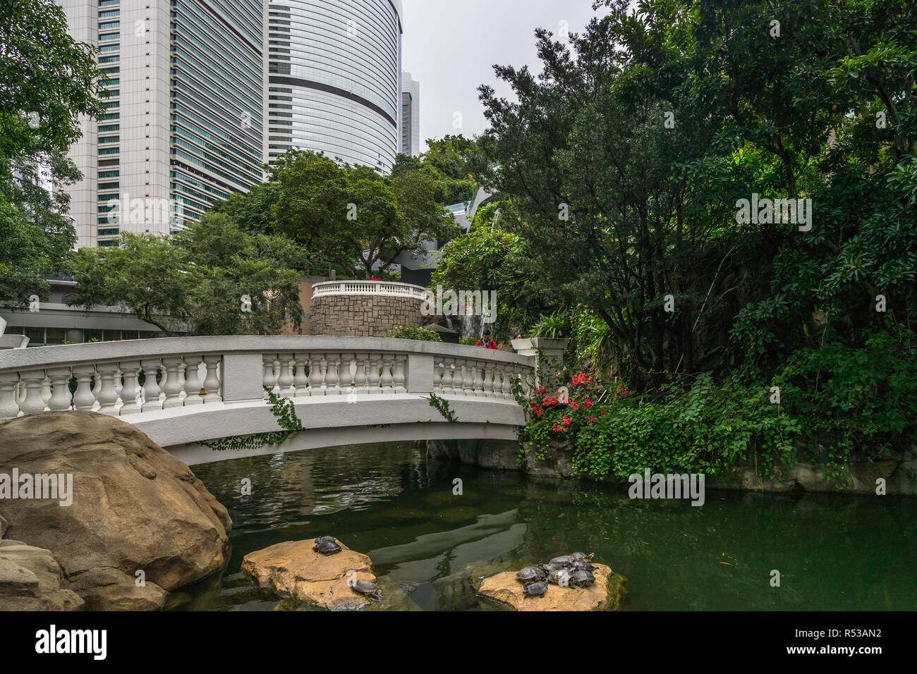 Paesaggio idilliaco a Hong Kong Park con un pittoresco ponte e un piccolo fiume con tartarughe sulle rocce. Hong Kong, Gennaio 2018 Foto Stock