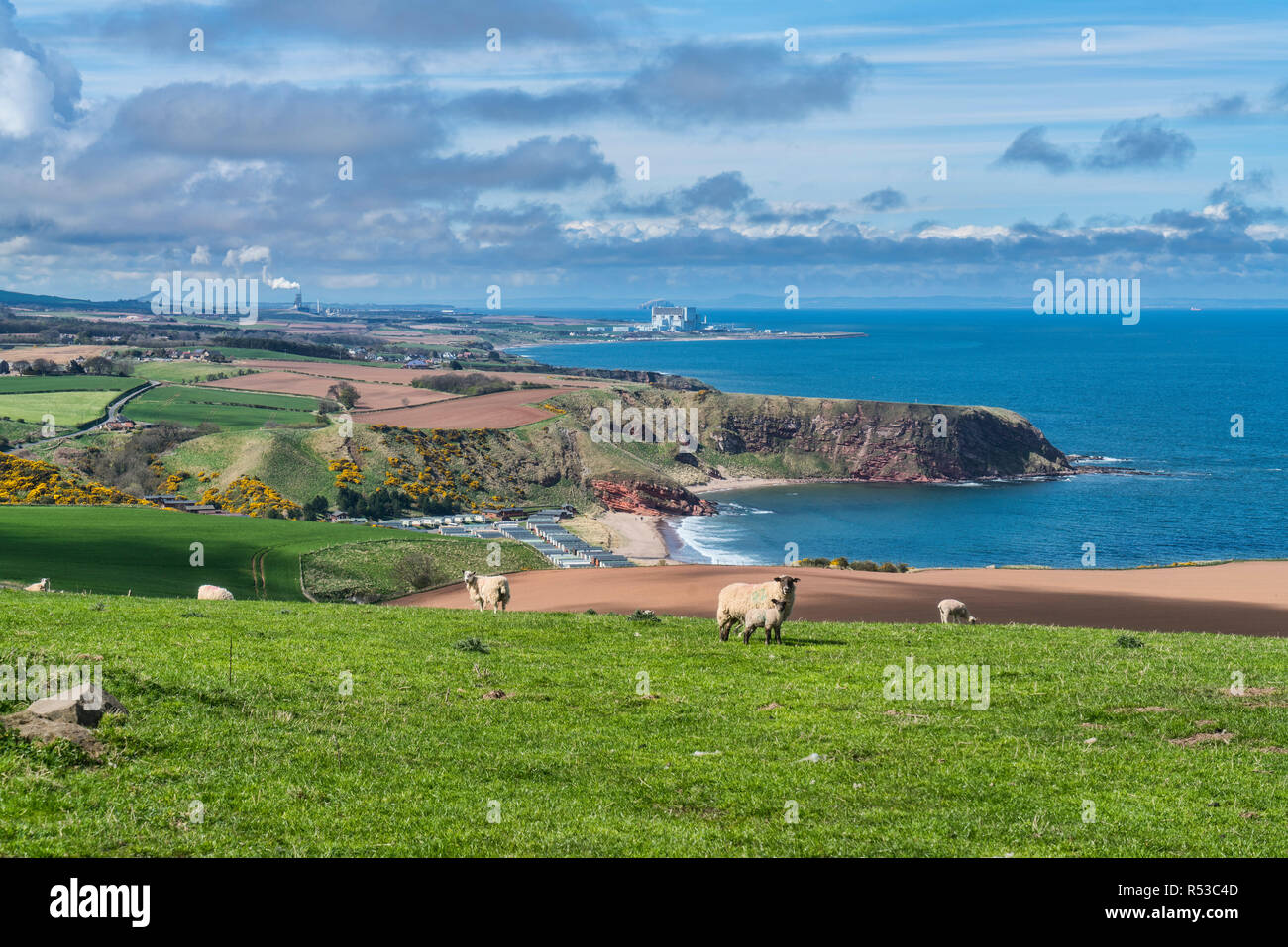 Guardando a nord lungo la costa verso Dunbar, Torness power station, dal vicino a Cove, frontiere, Scotland, Regno Unito Foto Stock