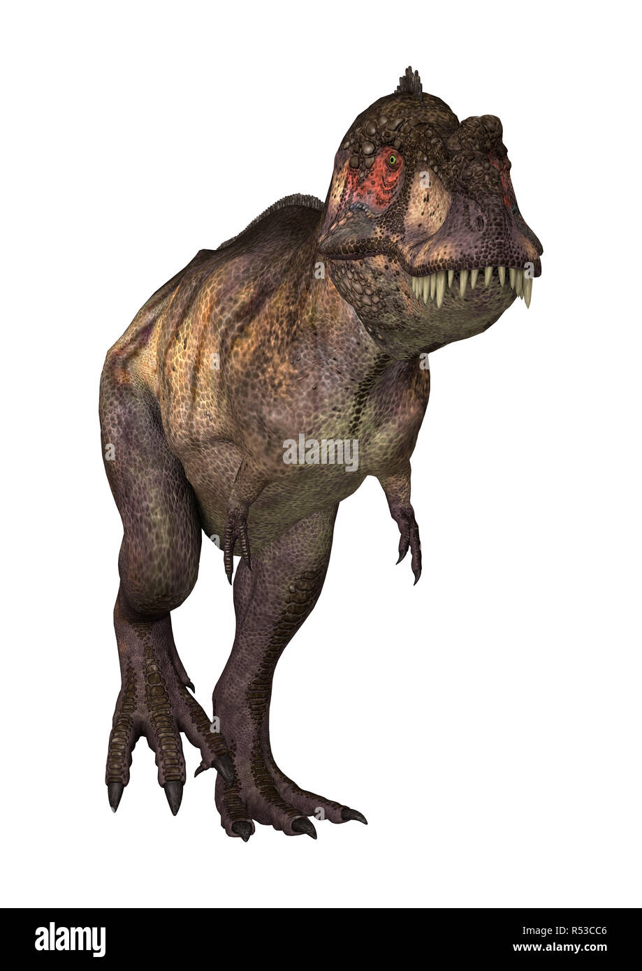 3D Rendering dinosauro Tirannosauro su bianco Foto Stock