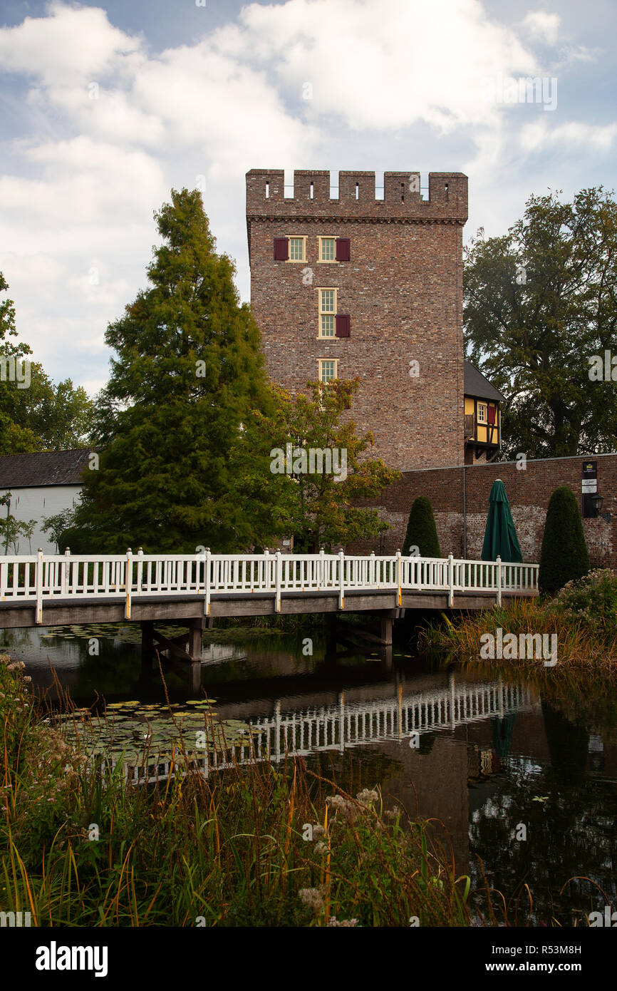 Torre del XIV secolo il castello di Daelenbroeck, Herkenbosch, Limburgo, Paesi Bassi Foto Stock