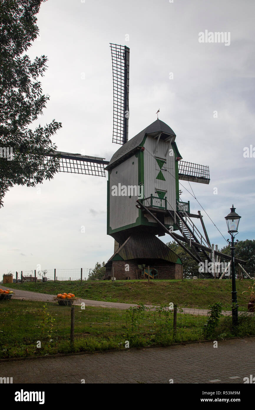 Il mulino a vento il principe Bernard vicino Melick, Limburgo, Paesi Bassi Foto Stock