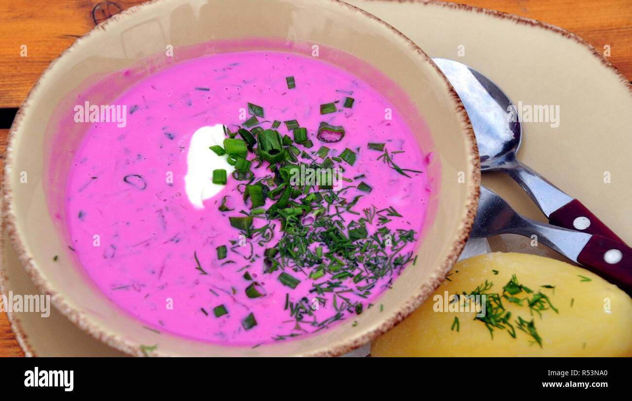 Il lituano zuppa di barbabietole Foto Stock