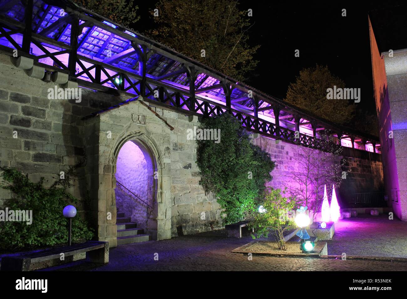 Fiori colorati e bellissime piante fioriscono da primavera ad autunno Foto Stock