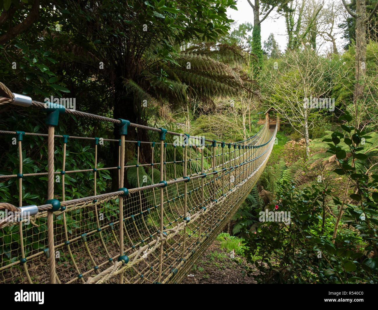 La Birmania ponte di corde, il Lost Gardens of Heligan, St Austell, Cornwall, Inghilterra, Regno Unito. Foto Stock
