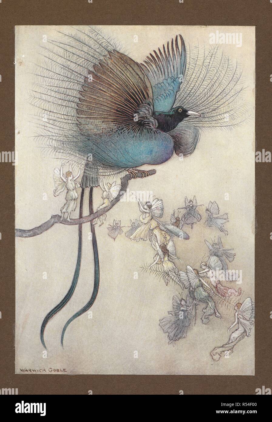 "Il più bel uccello del paradiso". Il Water-Babies ... Con illustrazioni a colori da Warwick Goble. (Edizione de luxe.). Londra : Macmillan & Co., 1909. Fonte: KTC.32.b.5 piastra opposto pagina 210. Foto Stock