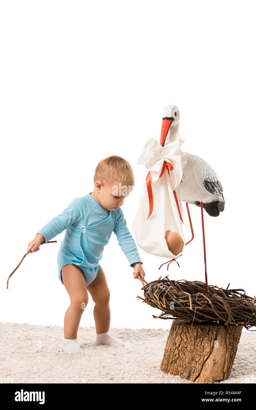 Il toddler boy tirando fuori bastoncini da decorativi nido di cicogna isolato su bianco Foto Stock