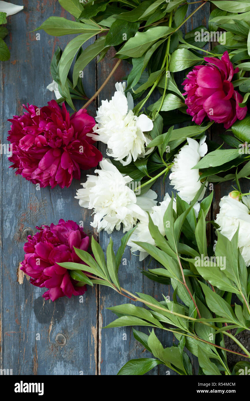 Peonia sfondo. Rosa e le peonie sul tavolo in legno con posto per il testo. Fiore di primavera peonia. Felice Festa della mamma. La festa della mamma biglietto di auguri. Le madri D Foto Stock