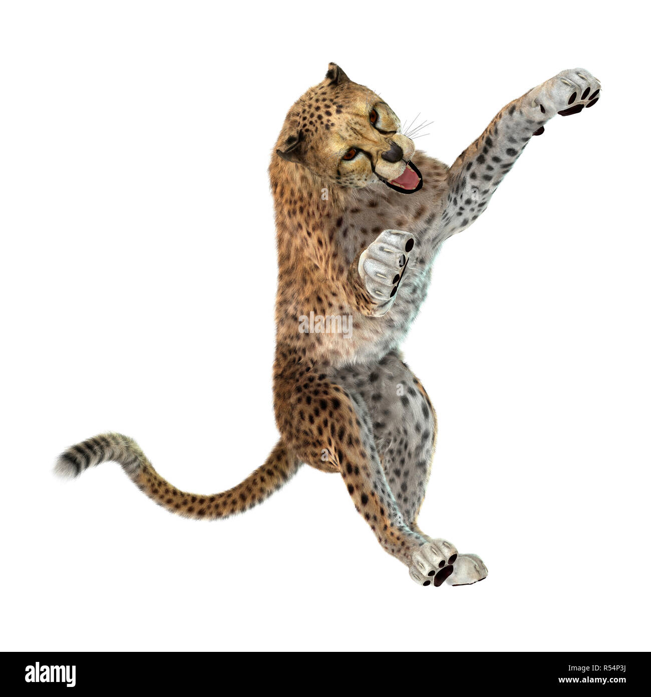 3D Rendering Big Cat Cheetah su bianco Foto Stock