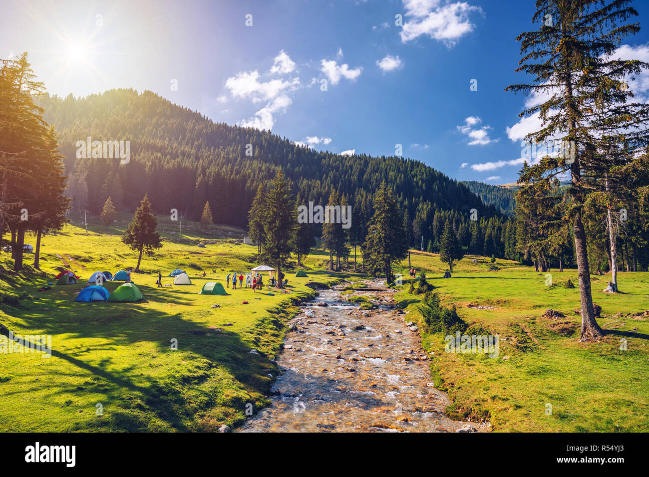 Tenda da campeggio vicino al fiume di montagna in estate. Avventure Campeggio turismo e tenda, paesaggio forestale in prossimità di acqua all'aperto. Concetto Travel Foto Stock