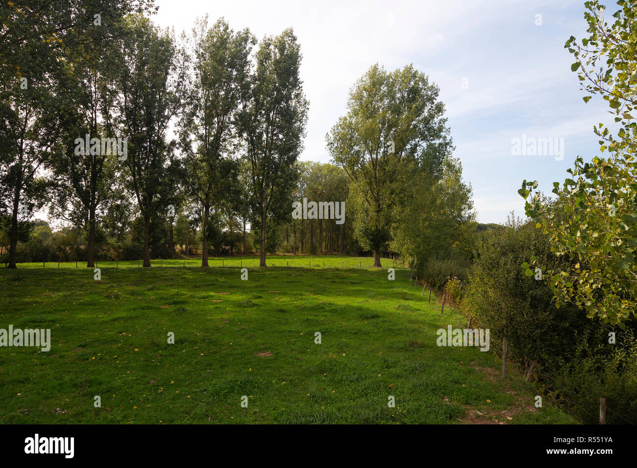 Tipico paesaggio di foreland del piccolo fiume Roer, Limburgo, Paesi Bassi Foto Stock
